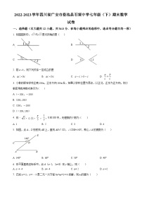 四川省广安市岳池县岳池县石垭中学2022-2023学年七年级下学期期末数学试题（原卷版+解析版）