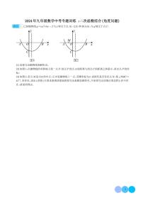 2024年九年级数学中考专题训练：二次函数综合（角度问题）学生版