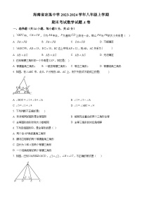 海南省省直辖县级行政单位琼海市嘉积中学2023-2024学年八年级上学期期末考试数学试题B卷（原卷版+解析版）