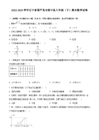 辽宁省葫芦岛市绥中县2022-2023学年八年级下学期期末数学试题（原卷版+解析版）