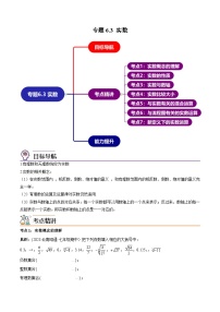 人教版七年级数学下册同步精品讲义第08讲专题6.3实数(97题50页)(学生版+解析)