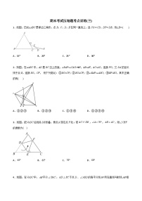 人教版八年级数学上册同步精品压轴题期末考试压轴题考点训练3(学生版+解析)