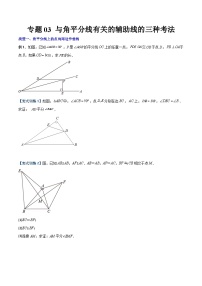 人教版八年级数学上册同步精品压轴题专题03与角平分线有关的辅助线的三种考法(学生版+解析)