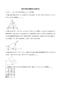 人教版八年级数学上册同步精品压轴题期末考试压轴题考点训练(四)(学生版+解析)