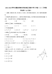 2023-2024学年安徽省淮南市田家庵区龙湖中学八年级（上）月考数学试卷（12月份）（含解析）