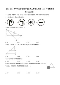 2023-2024学年河北省沧州市青县树人学校八年级（上）月考数学试卷（11月份）（含解析）