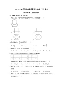 河南省濮阳市2023-2024学年九年级上学期期末考试数学试卷（五四制）