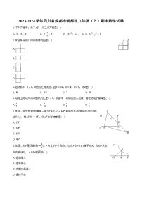 2023-2024学年四川省成都市新都区九年级（上）期末数学试卷(含解析）