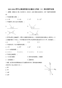 2023-2024学年云南省昭通市永善县七年级（上）期末数学试卷(含解析）