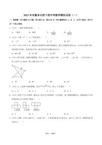 2023年安徽省合肥十校中考数学模拟试卷（一）