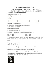 广东省茂名市滨海新区2024届九年级上学期月考数学试卷(含答案)