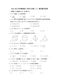 海南省三亚市2022-2023学年七年级（上）期末数学试卷(人教版 含答案)