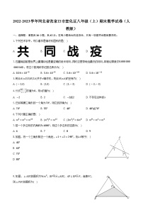 河北省张家口市宣化区2022-2023学年八年级上学期期末考试人教版数学试卷(含解析)