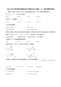 河北省张家口市宣化区2022-2023学年七年级上学期期末数学试卷(含解析)