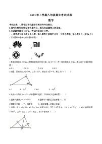 湖南省常德市鼎城区2022-2023学年八年级上学期期末数学试卷(含答案)