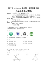 新疆喀什市2023-2024学年八年级上学期期末质量监测数学试卷A(含答案)