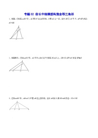 专题02 倍长中线模型构造全等三角形(基础训练)-中考数学重难点专项突破（全国通用）