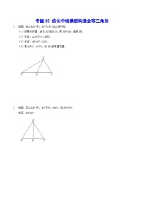 专题02 倍长中线模型构造全等三角形(提升训练)-中考数学重难点专项突破（全国通用）