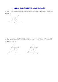 专题04 角平分线模型在三角形中的应用(提升训练)-中考数学重难点专项突破（全国通用）