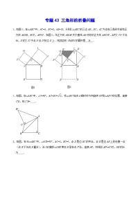 专题43 三角形的折叠问题-中考数学重难点专项突破（全国通用）