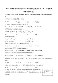 2023-2024学年四川省眉山市仁寿县城北实验九年级（上）月考数学试卷（10月份）（含解析）