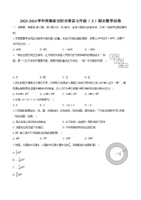 2023-2024学年河南省安阳市滑县七年级（上）期末数学试卷（含解析）