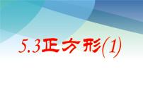 初中数学浙教版八年级下册5.3 正方形课堂教学ppt课件