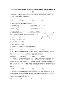 2022-2023学年河南省洛阳市八年级下学期期末数学试题及答案