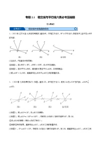 人教版七年级数学下册专题训练专题2.1相交线与平行线六类必考压轴题(原卷版+解析)