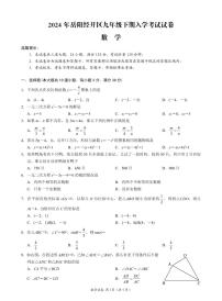 湖南省岳阳市经开区2023-2024学年九年级下学期入学考试数学试题