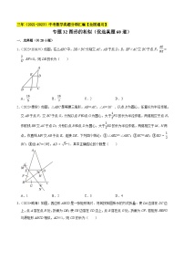 专题31图形的相似（优选真题60道）-三年（2021-2023）中考数学真题分项汇编【全国通用】