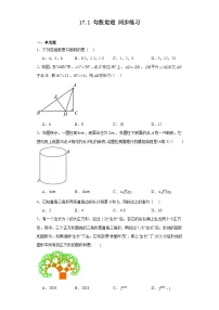 数学八年级下册17.1 勾股定理综合训练题