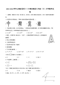 2023-2024学年云南省昆明十二中教育集团八年级（下）开学数学试卷(含解析）