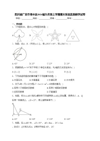 四川省广安市邻水县2024届九年级上学期期末质量监测数学试卷(含答案)