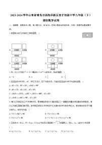 2023-2024学年山东省青岛市西海岸新区育才初级中学九年级（下）期初数学试卷（含解析）