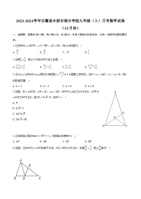 2023-2024学年安徽省合肥市部分学校九年级（上）月考数学试卷（12月份）（含解析）