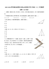 2023-2024学年湖北省武汉市洪山区培英中学八年级（上）月考数学试卷（10月份）（含解析）