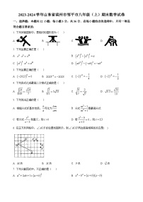 山东省滨州市邹平市2023-2024学年八年级上学期期末数学试题（解析版+原卷版）