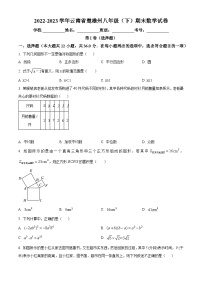 云南省楚雄彝族自治州2022-2023学年八年级下学期期末数学试题（解析版+原卷版）