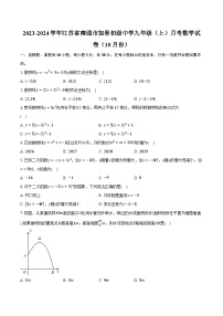 2023-2024学年江苏省南通市如皋初级中学九年级（上）月考数学试卷（10月份）(含解析）