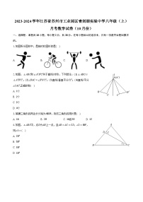 2023-2024学年江苏省苏州市工业园区青剑湖实验中学八年级（上）月考数学试卷（10月份）(含解析）