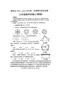 河南省洛阳市2023—2024学年九年级第一学期期末质量检测数学试卷(人教版 含答案)