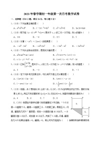 17，江苏省盐城市射阳外国语学校2022-2023学年七年级下学期第一次月考数学试题