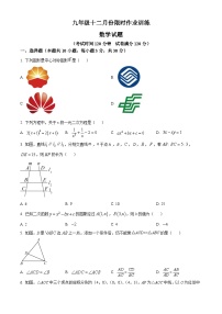 20，安徽省亳州市部分学校2023-2024学年九年级上学期月考数学试题