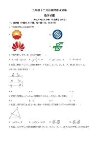 20，安徽省亳州市部分学校2023-2024学年九年级上学期月考数学试题