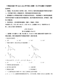 43，四川省凉山州宁南县初级中学2023-2024学年八年级上学期第一次月考数学试题