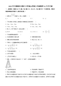 45，湖南省郴州市第六中学观山学校2023-2024学年八年级上学期月考数学试题