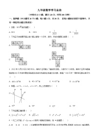 65，河南省郑州市金水区第十一初级中学2023-2024学年九年级上学期1月月考数学试题