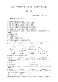 110，河南省周口市沈丘县博士学校2023-2024学年九年级下学期开学考试数学试题