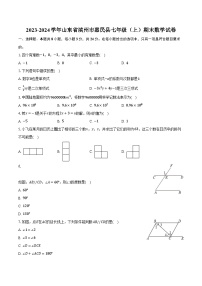 2023-2024学年山东省滨州市惠民县七年级（上）期末数学试卷(含解析）